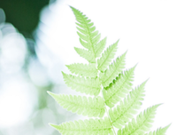 最经典的《我爱你》佳句摘抄