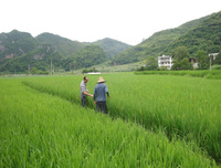 【听友】你不是他的菜！