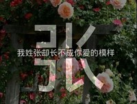 有关句组的句子
