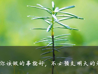 zzy的语集