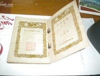 最新的《岛上书店》好段摘抄