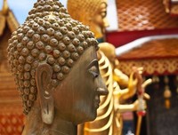 最全的《瑜伽始末》经典名句