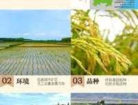 关于米楚的语句