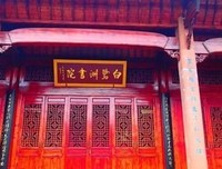 鹭飞的名句_关于鹭飞的名句