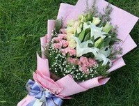 15条关于日暖阳的经典语句
