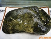 莫西的句子