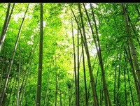 留物我自己经典的句子