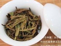 关于白茶名言大全
