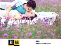 最新的陆琪名言