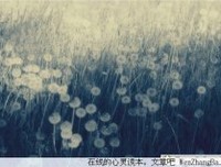 爱的凝视