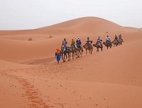最新的《撒哈拉的故事》名句欣赏