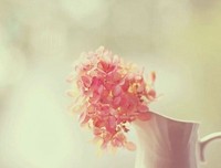 有关镜花辞树的美句摘抄