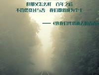 小说摘抄句子大全