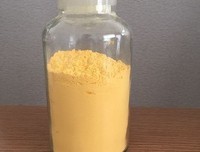 谢可慧名言
