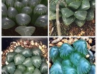 《这眼岁带实生认便要和大，有你刚好》经典语句