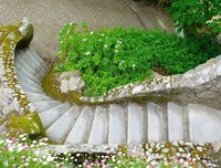 《紫陆兰 永恒 花园》名句欣赏大全