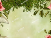 最全的《蜜爱100分：不良鲜妻有点甜》语录摘抄