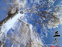 快乐得是得是忧伤经典名句
