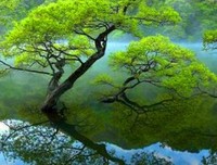 最美的风景名句欣赏