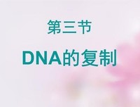 关于桐谷修二的名言