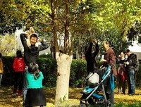 香龙血树经典句子