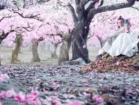 白浅 夜华精彩语录