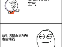 最新的甲鱼不是龟名言