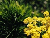 随意经典的句子