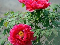 2018安德烈·纪德名言警句