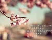 最经典的《网上》语录摘抄