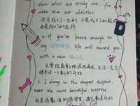 最新的《迟爱》好段摘抄
