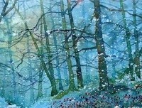 《黑白》经典句子