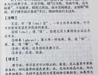 最经典的《传习录》名句欣赏