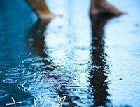 最新的《句子迷》经典的句子