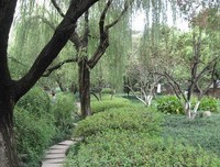 青荷可界名句欣赏