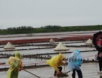 《七年欢喜》经典的句子