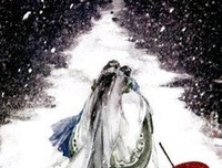 最全的《九国夜雪》小说句子