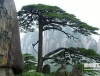 当舍格言警句