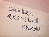 治愈句集的句子