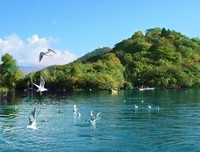关于来水了他的句子