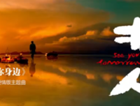 最新的《 灵魂 摆渡》好段摘抄大全