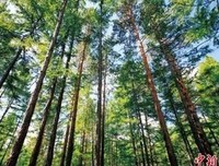 最全的《美人何处》经典语录