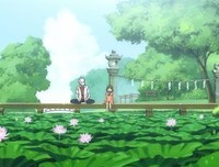 最新的《萤火之森》好段摘抄大全