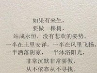 最全的《亲爱的三毛》语录摘抄