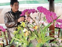 出阁的句子