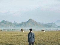 浪 啊！的句子