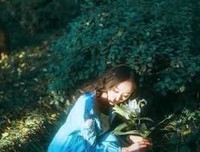 孤城旧巷的优美句子