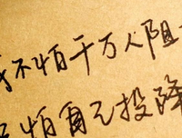 2018豆豆的格言