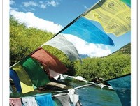 关于夏茗悠名言