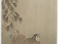 关于小原的语句